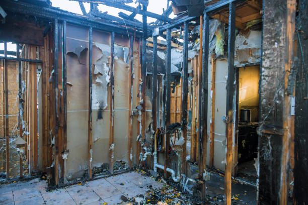 Professional Fire Damage Removal technician working in Paramount-Long Meadow, MD